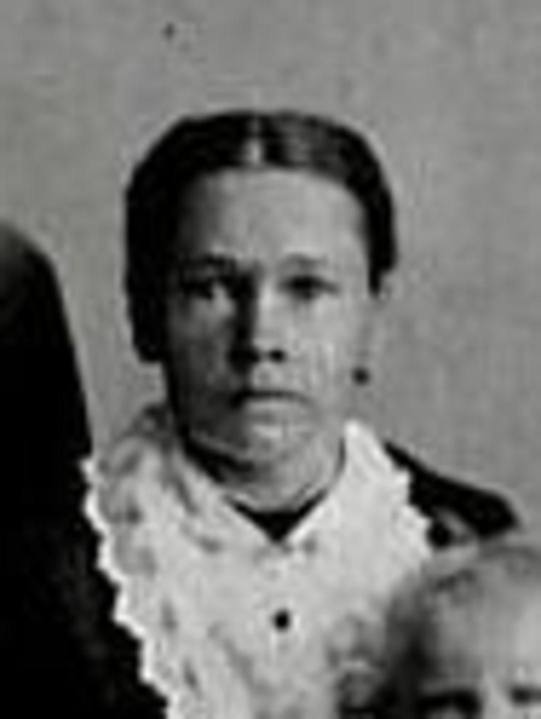 Nanna Amelia Erickson (1855 - 1939) Profile